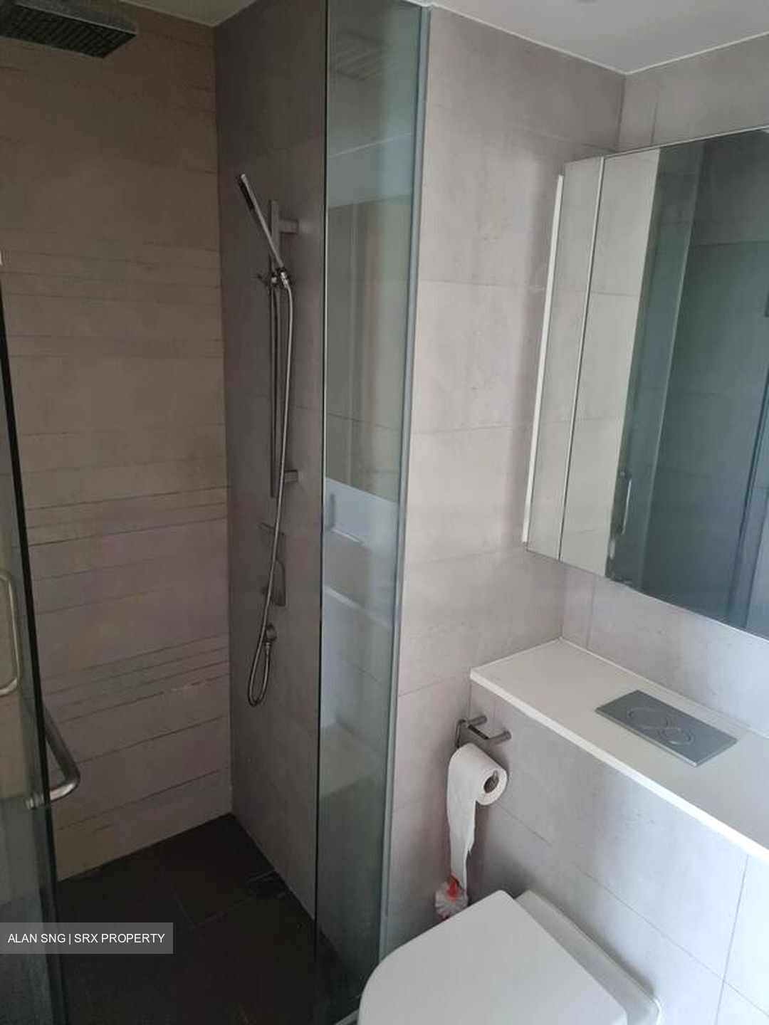 Eight Riversuites (D12), Condominium #476990921